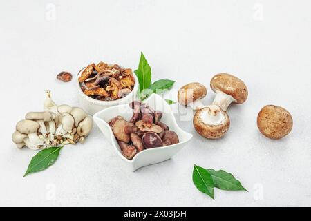 Assortment of various mushrooms - fresh, dried and pickled. Oyster mushrooms, brown cremini, porcini and shiitake. Healthy ingredient for cooking vega Stock Photo