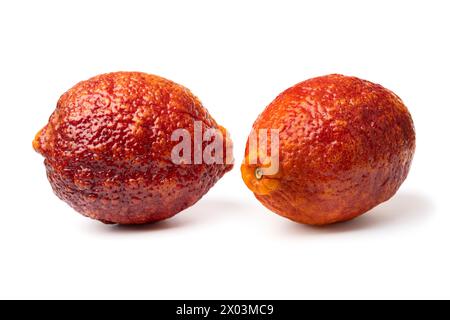 Pair of whole fresh Citrus limon Rosso, Red lemon, close up isolated on white background Stock Photo