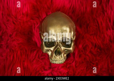 A golden skull lying on a fluffy red fur cushion posing for the camera Stock Photo