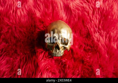 golden skull lying on a fluffy red fur cushion posing for the camera looking bored Stock Photo