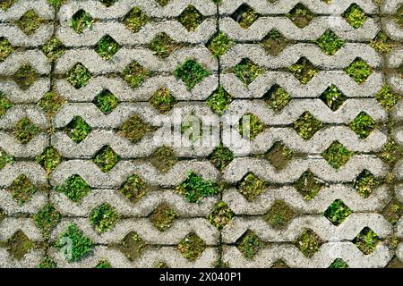 Grass grows through tiles in a park. Backgrounds and textures. Details and elements. Stock Photo