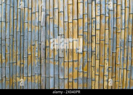 Fence made from bamboo trunks. Backgrounds and textures. Details and elements. Stock Photo