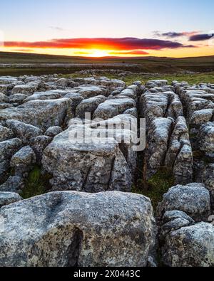 Sunrise on the limestone pavement at Malham Lings, Yorkshire Dales, England. Stock Photo