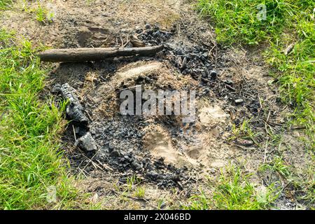 Remains of a fire pit in the meadow. coals. recreation in nature. Stock Photo