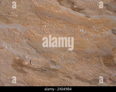 Brown stone background and texture.close Stock Photo