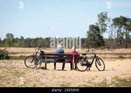 Retired couple with bicycles resting at a bench at nature reserve 'Strabrechtse Heide' in the Netherlands Stock Photo
