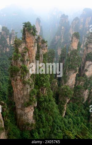 Sandstone pillars rise above the lush forest of Zhangjiajie National Forest Park in Wulingyuan Scenic Area, China. Stock Photo