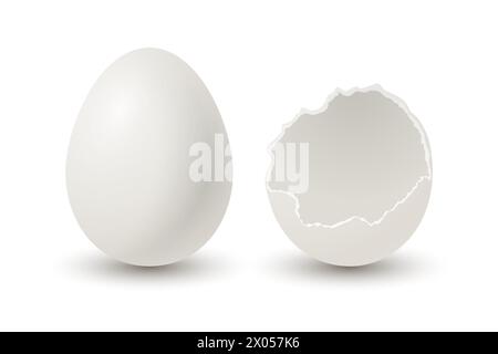 Vector 3d Realistic White Chicken Eggs. Broken Chicken Egg, Cracked Two Parts, Opened Crack Raw Chicken Egg With Yolk Closeup Isolated. Vector Eggs Stock Vector