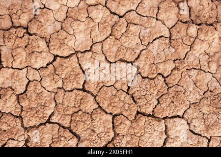 patterned cracked dried out arid soil background texture Stock Photo