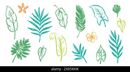 Palm leaf hand drawn crayon brush illustration. Foliage green tropical jungle leaves monstera, banana tree leaf texture silhouette elements. Hand drawn grunge black texture. Vector illustration. Stock Vector