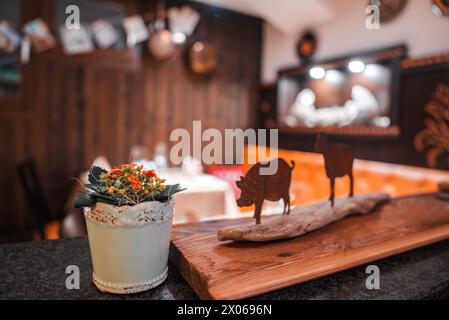 Cozy interior scene with succulent plant arrangement on wooden surface, rustic metal animal cutouts. Stock Photo