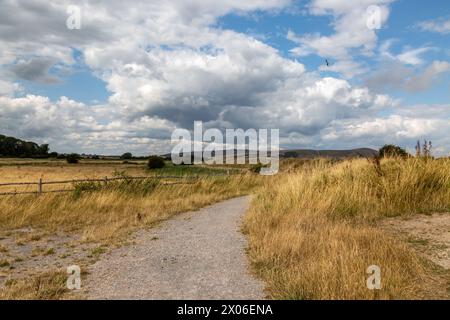 A pathway in rural Sussex on a summer's day Stock Photo