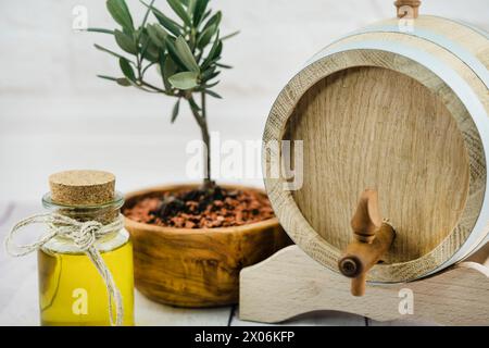 young olive tree, olive oil and wooden barrel Stock Photo
