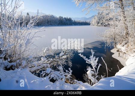 winter at a lake in the Murnauer Moos, Germany, Bavaria, Murnauer Moos Stock Photo