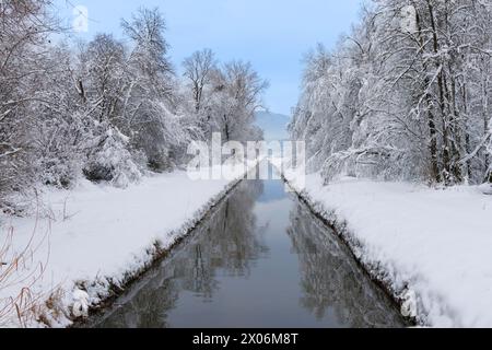 drainage channel in a snow-covered winter landscape, Grabenstaetter Moos, Germany, Bavaria Stock Photo