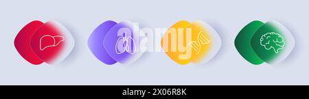 Organs set icon. Liver, brain, lungs, dna, gradient, flat design. Self care, promoting awareness and proactive health management concept. Glassmorphis Stock Vector