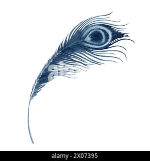 Peacock feather watercolor illustration. Hand drawn painting isolated on white background. Indigo Blue monochrome beauty and wealth symbol for fashion Stock Photo