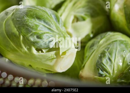 Fresh, raw Brussels Sprouts in close up. Stock Photo
