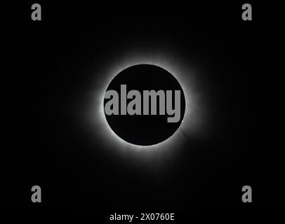 The Totality of Solar Eclipse 2024, with visible corona. Central Texas, USA. Stock Photo