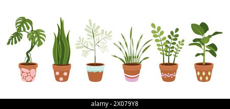 Set of large indoor plants in beautiful pots. Vector on white background. Stock Vector
