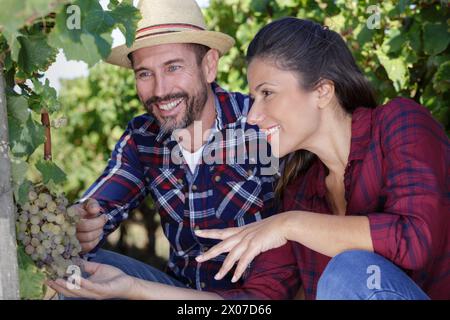 couple of farmers checking crop of grapes on ecological farm Stock Photo