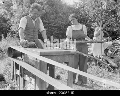 AGRICULTURE IN BRITAIN: LIFE ON GEORGE CASELY'S FARM, DEVON, ENGLAND, 1942 - George Casely and his daughters Joan and Sylvia saw logs in the sunshine on their Devon farm Stock Photo