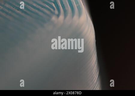 Abstract Perspectives: A Visual Journey Stock Photo