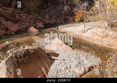 A hiker balances as they walk across a shallow section of the Virgin River that has rocks as stepping stones to get to an island in Zion National Park Stock Photo