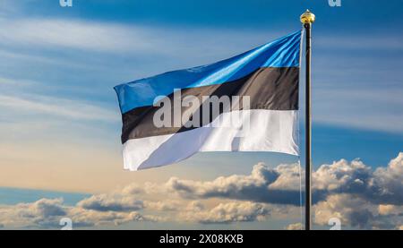 Die Fahne von Estland flattert im Wind Stock Photo