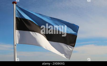 Die Fahne von Estland flattert im Wind Stock Photo