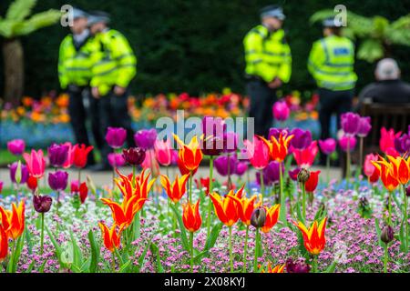 London, UK. 10th Apr, 2024. Police patrol the area awaiting the start of a Youth Demands march in support of Palestine and against the Israeli assault of Gaza - Visitors enjoy the spectacle as spring weather brings out a vivid display of colours from the tulips in Victoria Embankment Gardens in London. Credit: Guy Bell/Alamy Live News Stock Photo