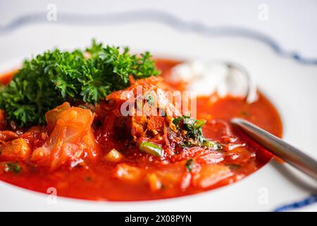 Close-up view of a bowl of hearty Ukrainian beetroot soup, known as borscht, garnished with parsley and a dollop of sour cream, ready to be enjoyed Stock Photo