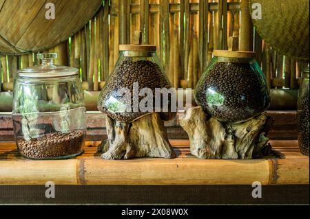 Artisanal roasted coffee beans showcased in glass jars on rustic wooden bases, set against a backdrop of bamboo in Bali. Stock Photo