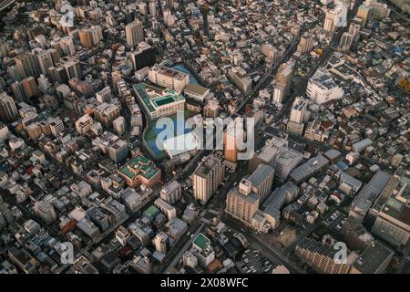 Overhead shot capturing the sprawling urban density of Tokyo with buildings bathed in the soft glow of sunset, illustrating the bustling city life in Stock Photo