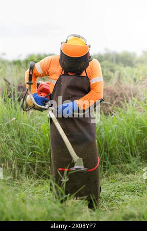 Worker in protective gear using a string trimmer in a field Stock Photo