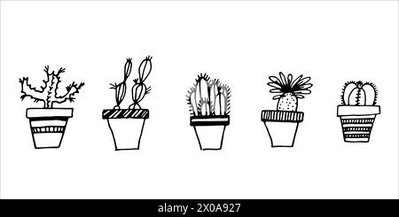 Set of house plants in pots with cactus and succulents. Hand drawn plants vector line art  Stock Vector