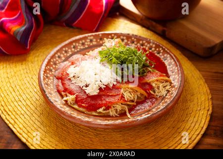 Entomatadas. Also known as Enjitomatadas, a typical dish of Mexican cuisine prepared with corn tortilla, tomato sauce and stuffed with shredded chicke Stock Photo