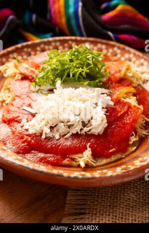 Entomatadas. Also known as Enjitomatadas, a typical dish of Mexican cuisine prepared with corn tortilla, tomato sauce and stuffed with shredded chicke Stock Photo