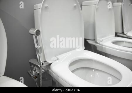 Toilet Bowl With Bidet Shower Head In A Home Goods Store . Soft Focus 