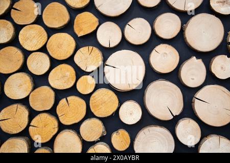 Background texture   of a cross section of cut ends of round wooden logs . Soft focus . Wooden background Stock Photo
