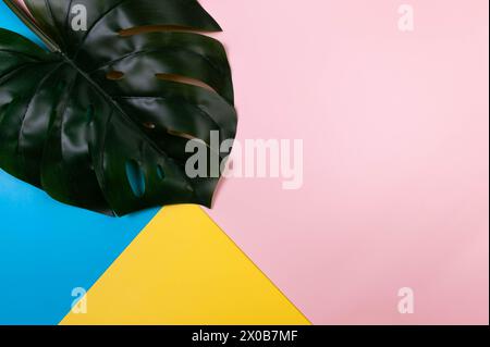 Top view of dried palm leaf on colourful background. Blue, pink and yellow background. Colourful wallpaper, flat lay, copy space. Stock Photo