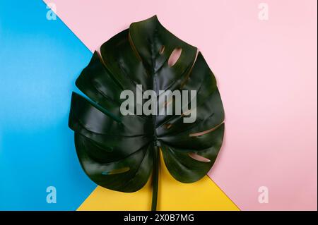 Top view of dried palm leaf on colourful background. Blue, pink and yellow background. Colourful wallpaper, flat lay, copy space. Stock Photo