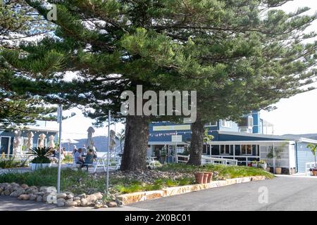 The Joey Restaurant and cafe in Palm Beach Sydney, waterfront ...