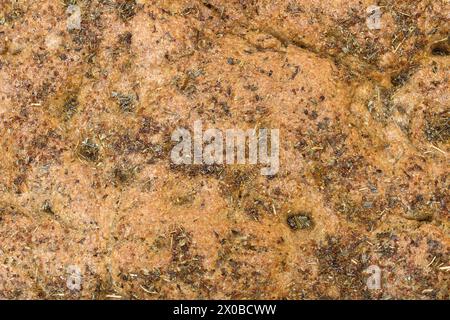 A close-up of a baked focaccia with oil and spice. Abstract organic texture with brown tones with variations in shading and intensity and small, dark Stock Photo