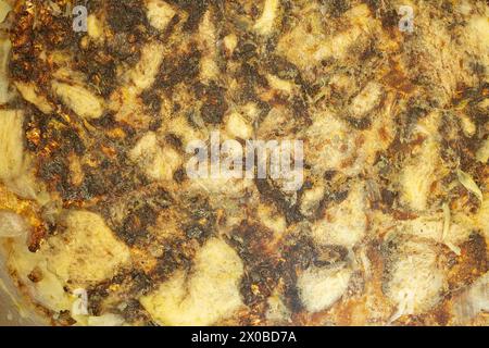Overhead view of a marbled texture, where golden swirls intertwine with shades of brown and white. The intricate patterns and rich hues create a luxur Stock Photo