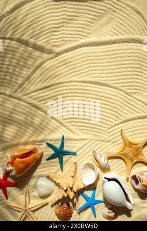 Colored starfish and shells on white wavy fine sand. Shadow from a palm leaves. Summer background, free space for decoration, flat lay. Stock Photo