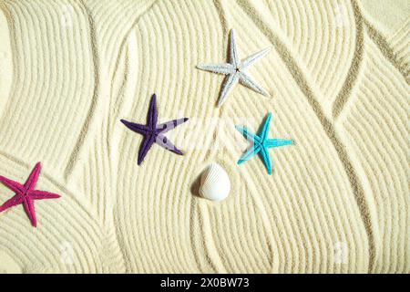 Colored starfish and shells on white fine sand. Summer background,  flat lay. Stock Photo