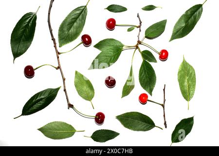 Texture pattern created by ripe cherries and green leaves lying on white. Stock Photo