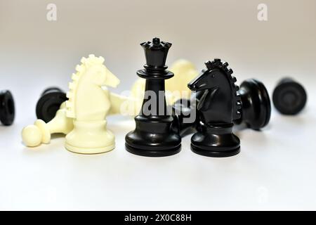 In the picture, there are chess pieces king and two white and black knights on a white table. Stock Photo