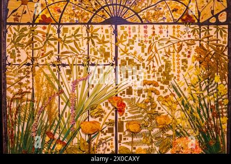 Pressed dry flower arrangement in the Church of Notre-Dame-du-Puy, Grasse, Alpes-Maritimes, Provence-Alpes-Côte d'Azur, France Stock Photo